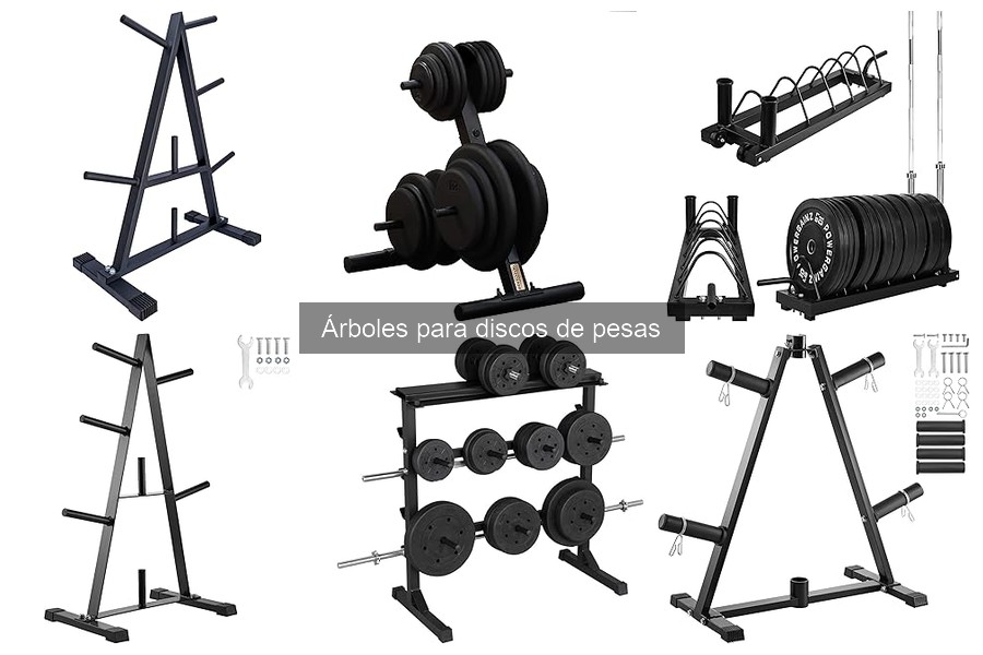Alternativas a Árboles para Discos de Pesas en Gimnasio