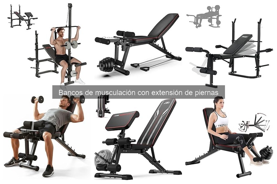 Alternativas a Bancos de Musculación con Extensión de Piernas