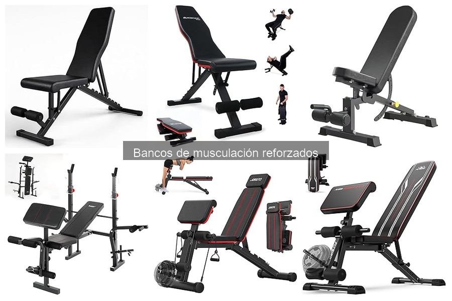 Alternativas a Bancos de Musculación Reforzados | Opciones Viables