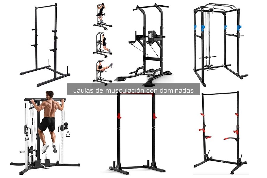 Alternativas a Jaulas de Musculación con Dominadas