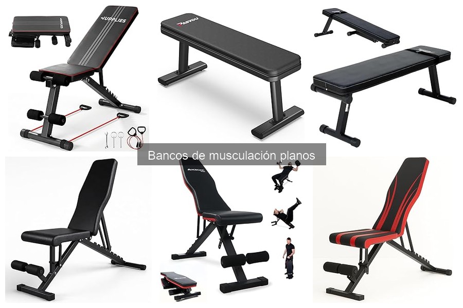 Alternativas a los Bancos de Musculación Planos para Entrenar