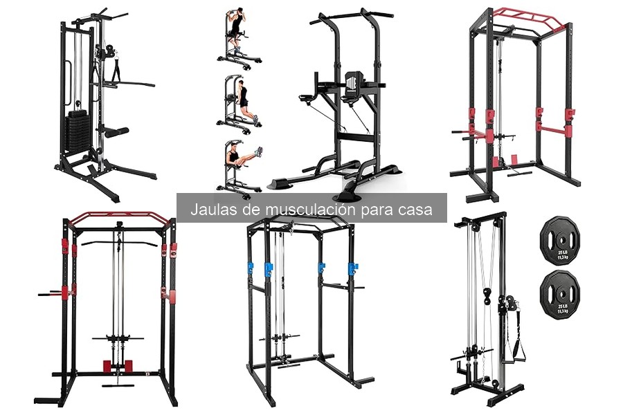 Características clave de jaulas de musculación para avanzados