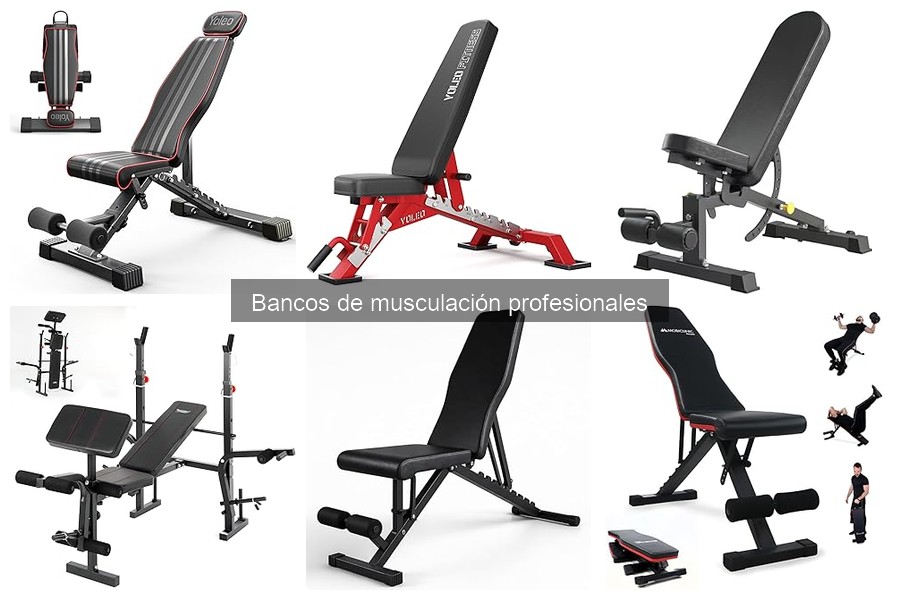 Características y beneficios de los bancos de musculación profesionales