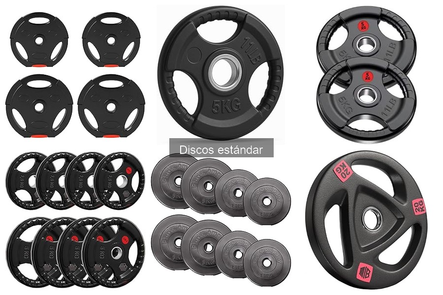 Cómo cuidar tus discos estándar para mayor durabilidad