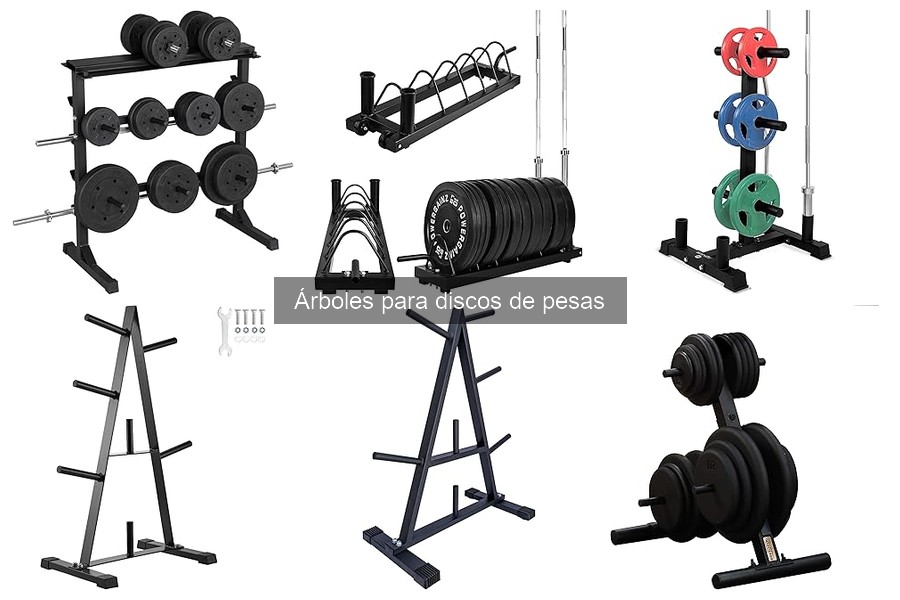 Cómo elegir el mejor árbol para discos de pesas