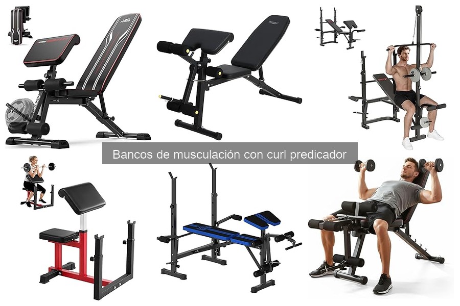 Cómo elegir el mejor banco de musculación con curl predicador