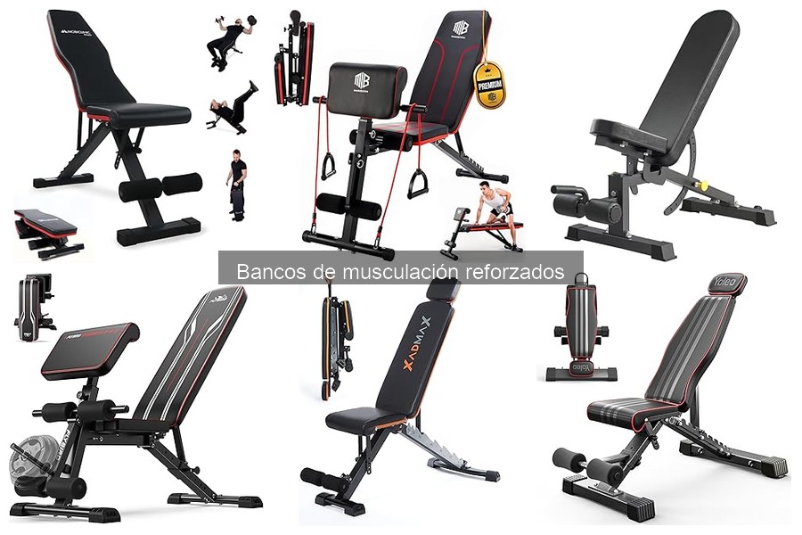 Cómo elegir el mejor banco de musculación reforzado
