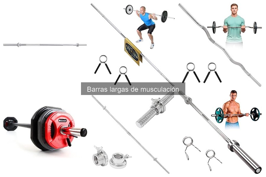 Cómo elegir la mejor barra larga de musculación para principiantes
