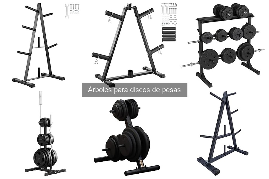Cómo instalar un árbol para discos de pesas: pasos sencillos