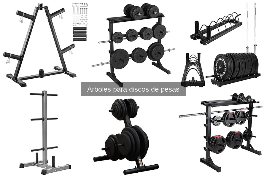 Comparativa: Árboles para Discos de Pesas vs Estantes de Almacenamiento