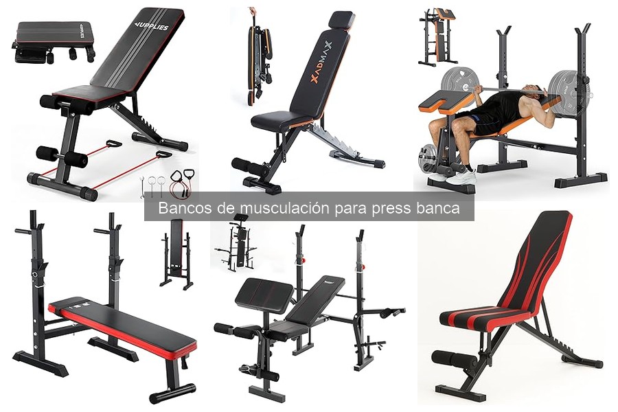 Comparativa: Bancos de musculación ajustables vs. fijos