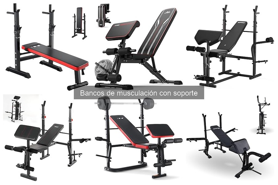 Comparativa: Bancos de musculación con y sin soporte