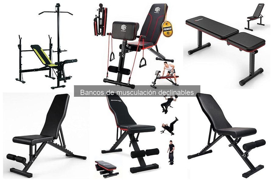 Comparativa: Bancos de Musculación Declinables vs. Fijos