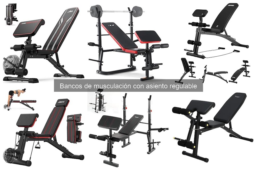 Comparativa de Bancos de Musculación Ajustables: Análisis de Marcas