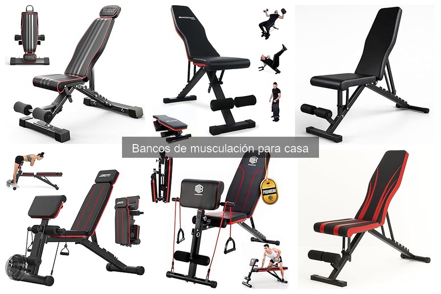 Comparativa de Bancos de Musculación Ajustables vs Fijos
