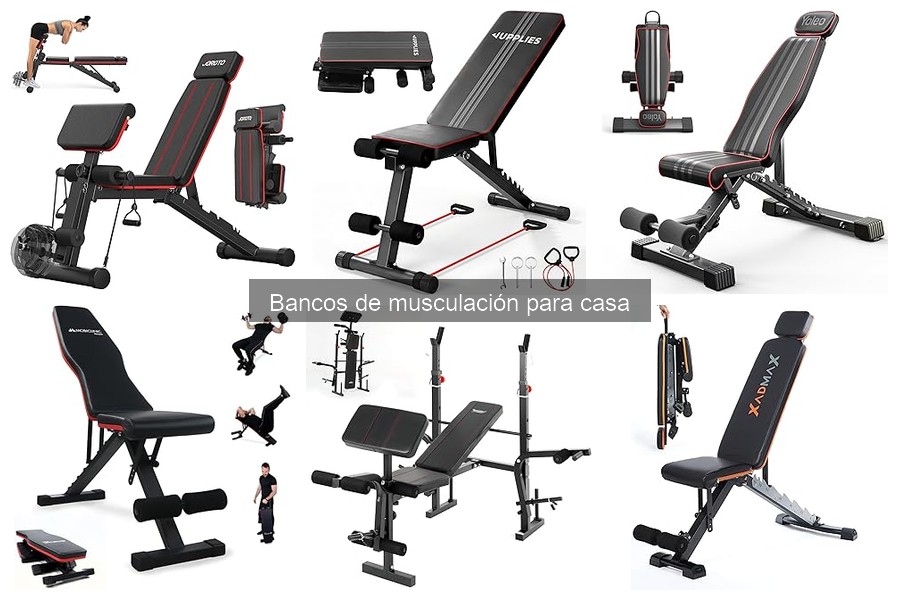 Comparativa de bancos de musculación: calidad y precios
