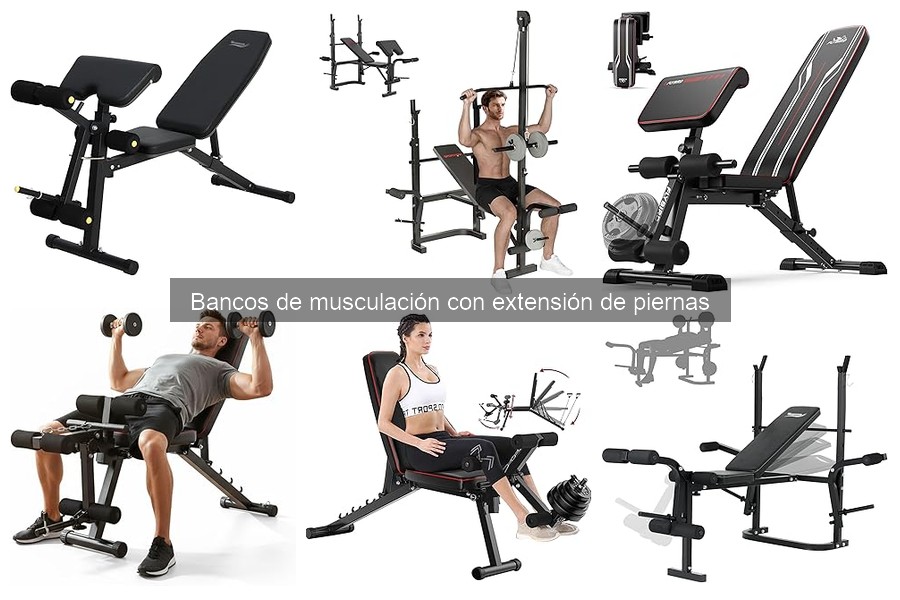 Comparativa de Bancos de Musculación con Extensión de Piernas