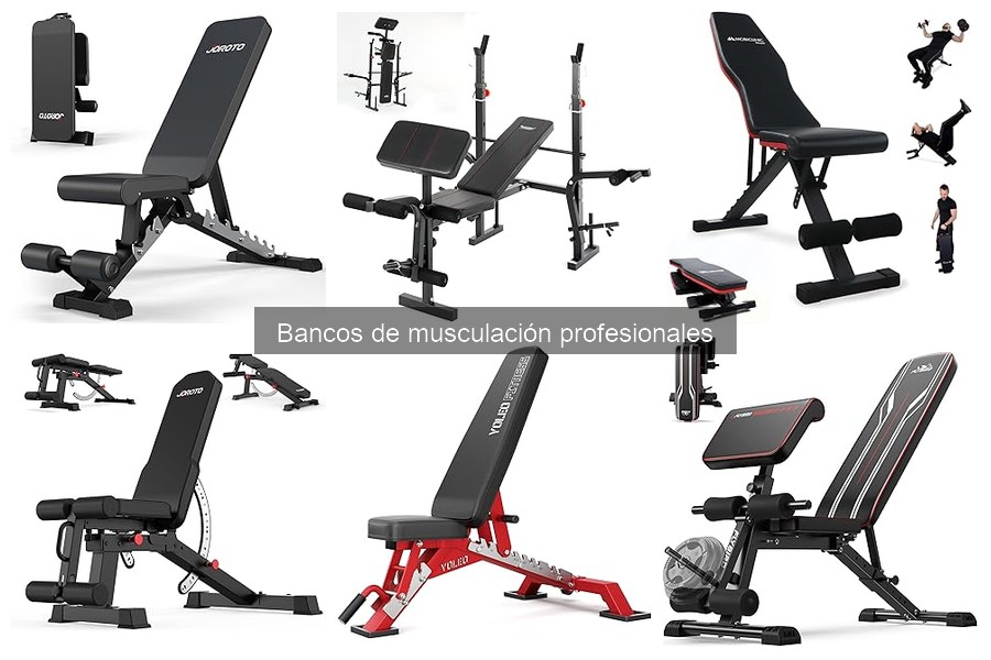 Comparativa de Bancos de Musculación y Otros Tipos de Bancos