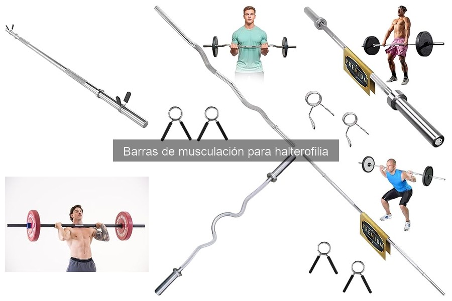 Comparativa de barras de musculación: Durabilidad y precio