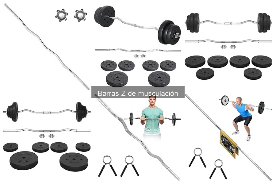 Comparativa de Barras Z de Musculación para tu Gimnasio