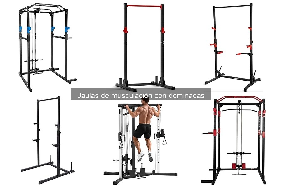 Comparativa de Jaulas de Musculación con Dominadas
