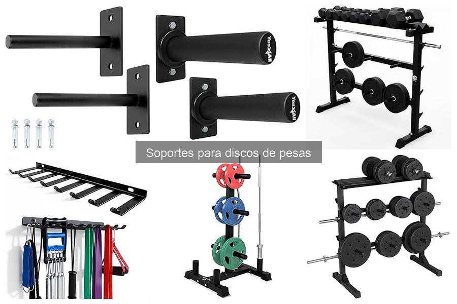 Comparativa de soportes para discos de pesas: marcas y precios