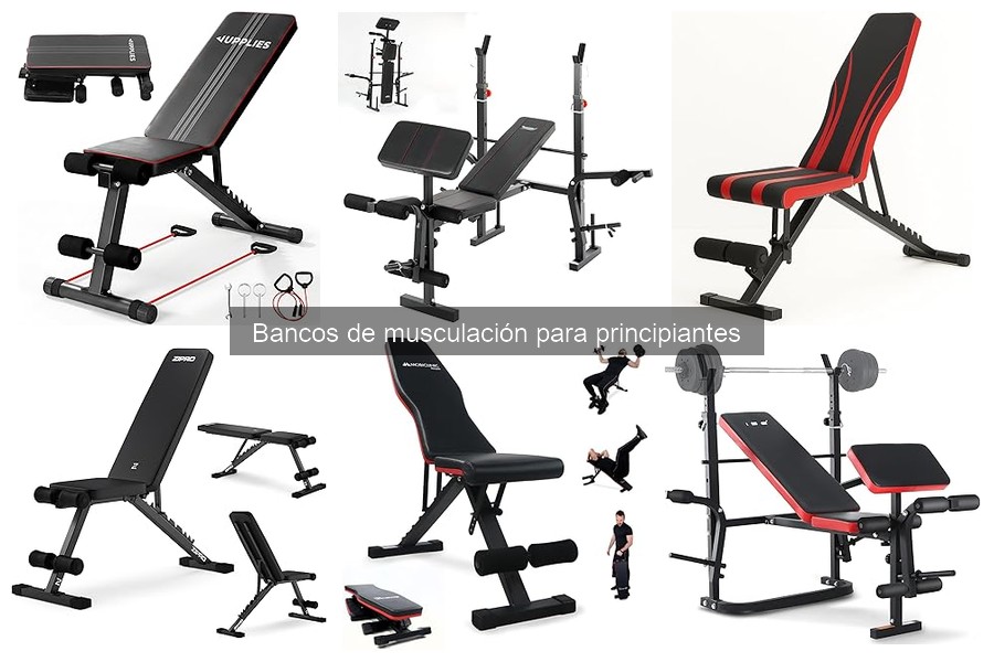 Comparativa entre bancos de musculación ajustables y fijos