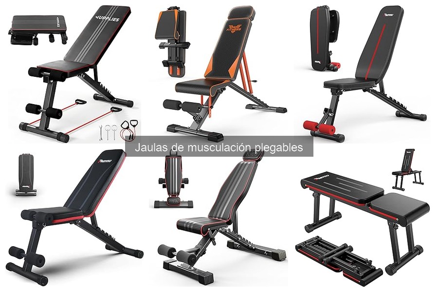 Comparativa: Jaulas de Musculación Plegables vs Fijas