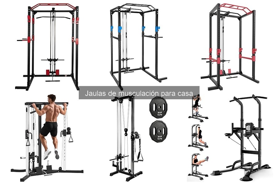 Comparativa: Jaulas de Musculación vs Racks de Potencia