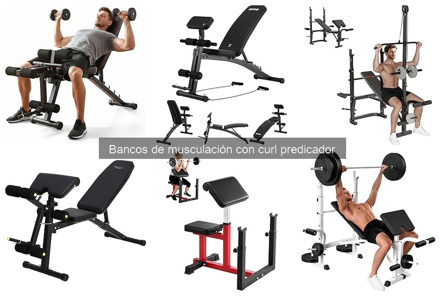 Dónde comprar bancos de musculación con curl predicador