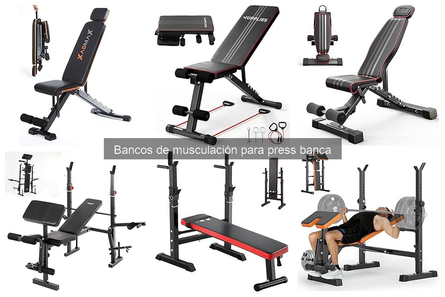 Dónde comprar bancos de musculación para press banca
