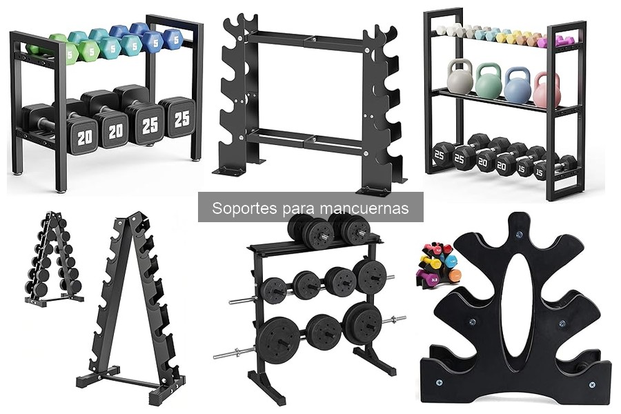 Dónde comprar un soporte para mancuernas: Mejores tiendas y precios