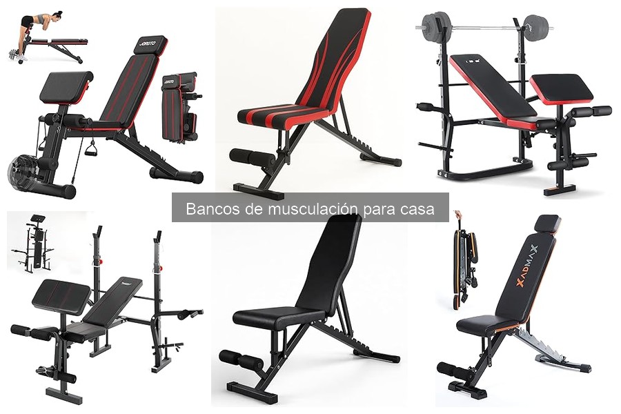 Ejercicios básicos con un banco de musculación en casa