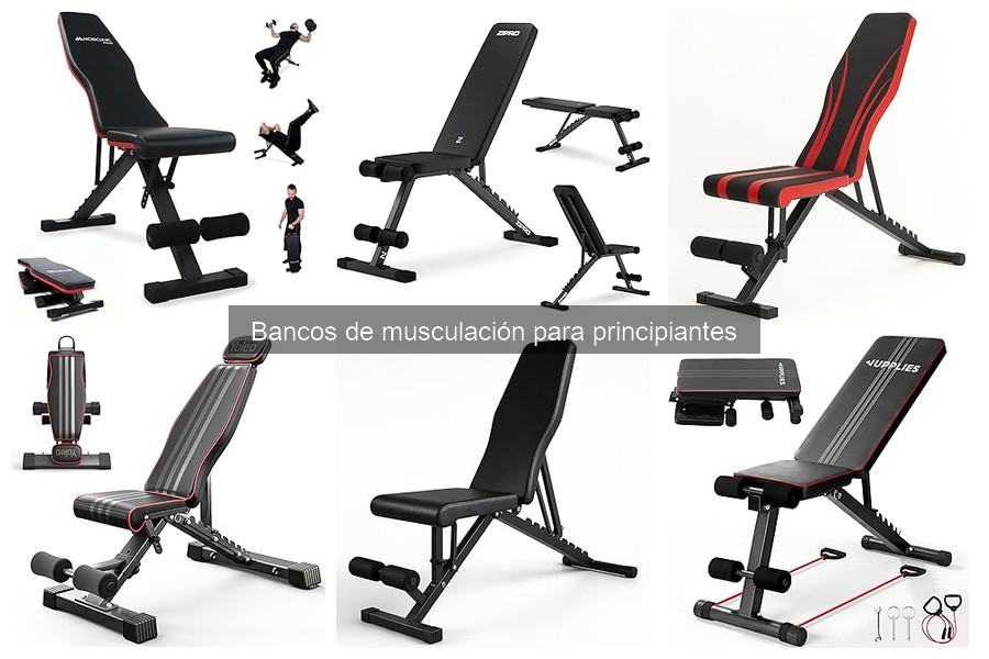 Ejercicios Efectivos con un Banco de Musculación para Principiantes