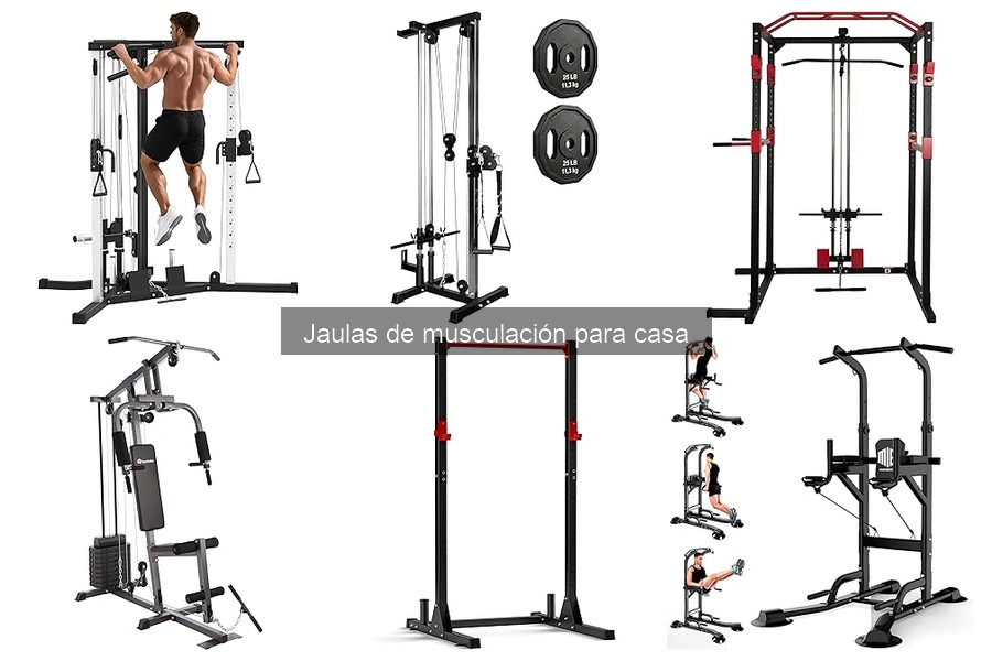 Ejercicios Recomendados con Jaulas de Musculación para Casa