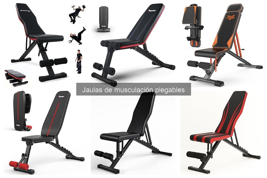 ¿Es la jaula de musculación plegable adecuada para principiantes?
