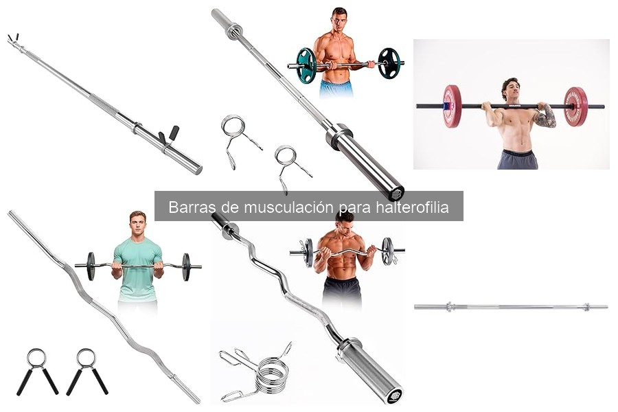 Guía básica sobre barras de musculación para halterofilia