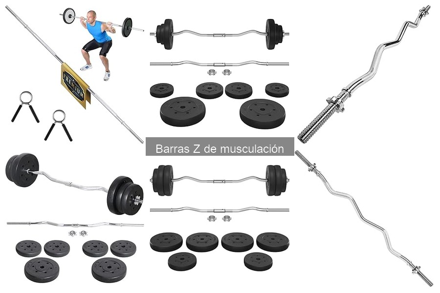 Guía de compra de barras Z de musculación: consejos y claves