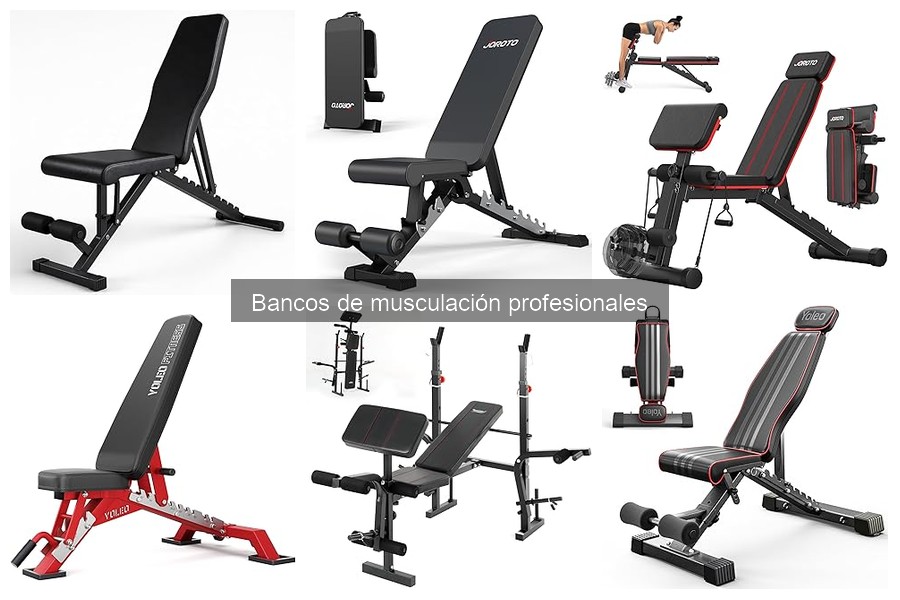 Guía para elegir el mejor banco de musculación profesional