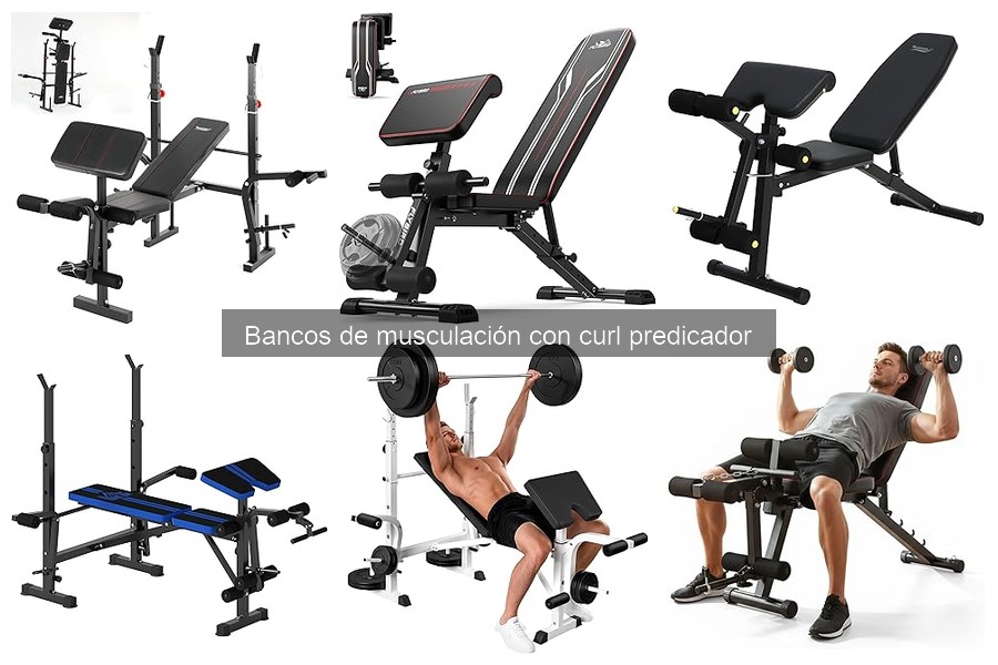 Mantenimiento óptimo de bancos de musculación con curl predicador