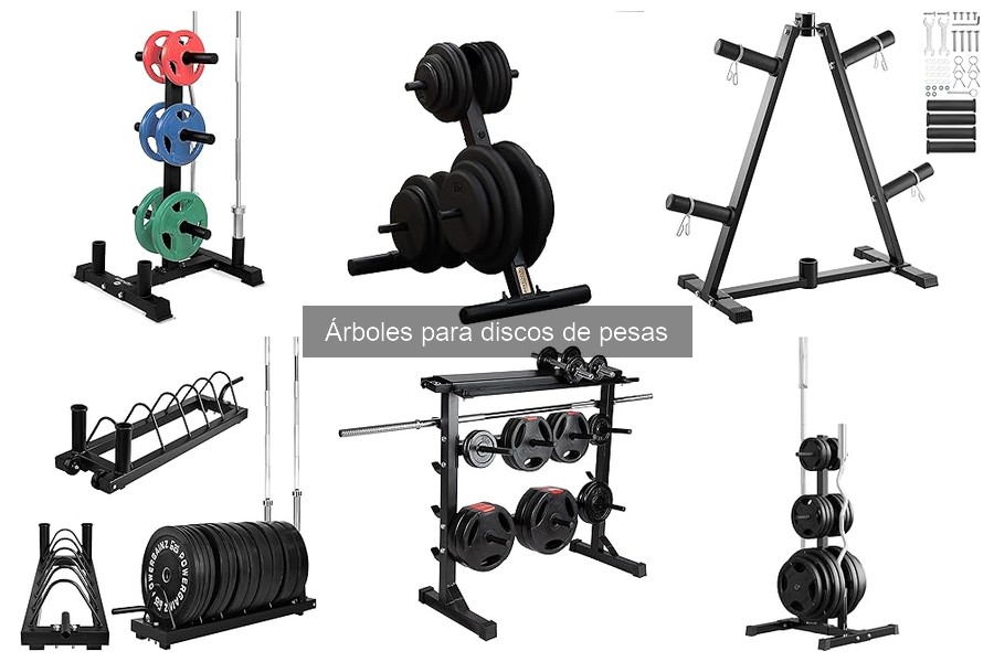 Mejores árboles para discos de pesas en 2023: Comparativa