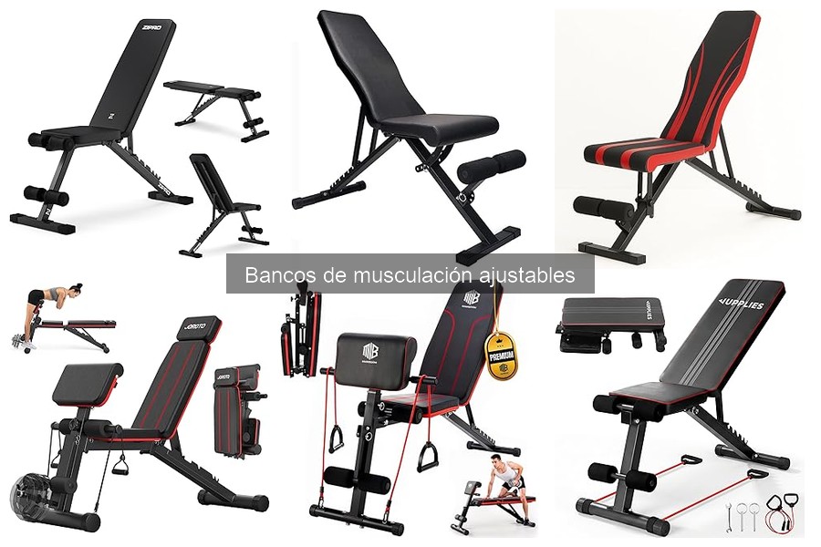Mejores bancos de musculación ajustables para principiantes