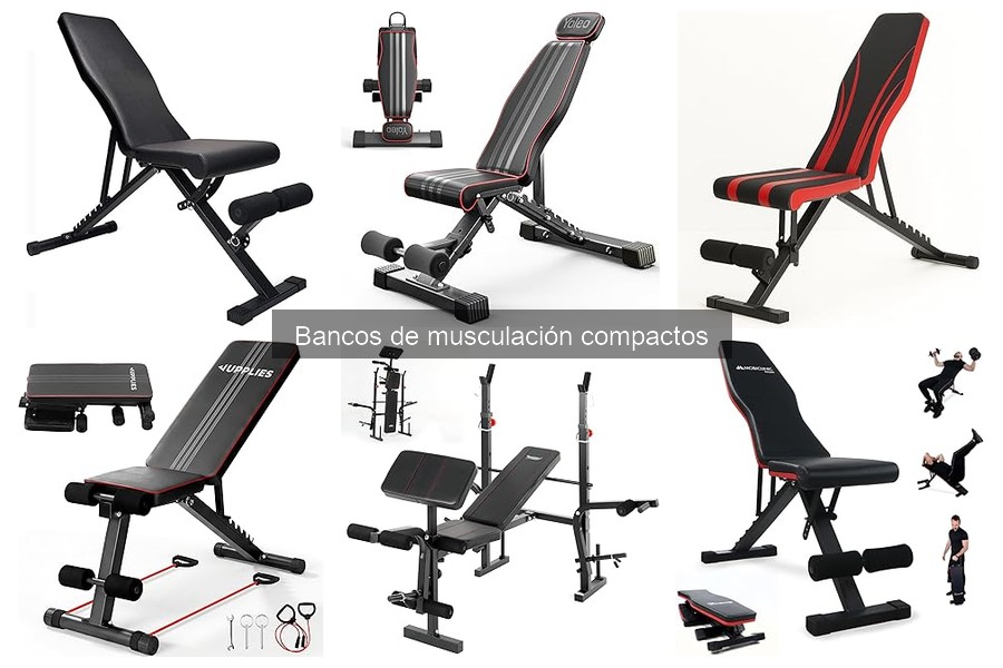 Mejores bancos de musculación compactos para principiantes