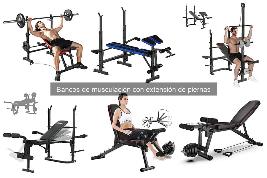 Mejores bancos de musculación con extensión de piernas para principiantes