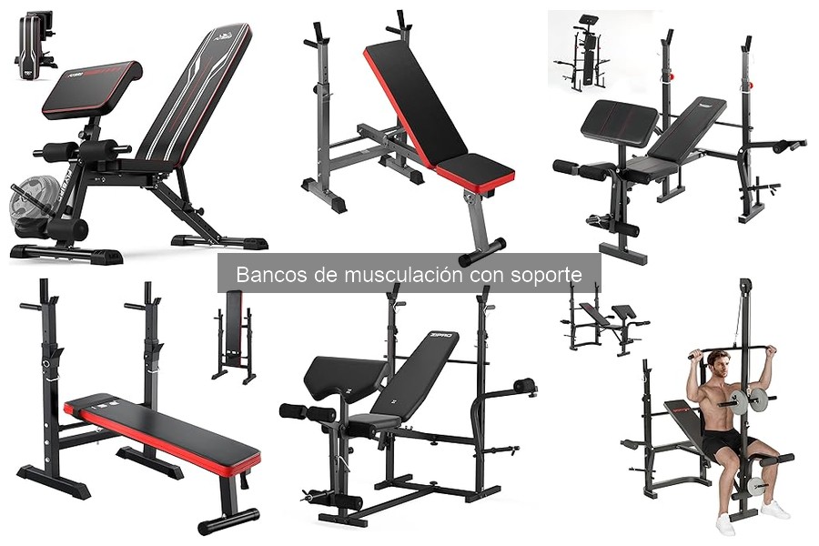 Mejores bancos de musculación con soporte para principiantes