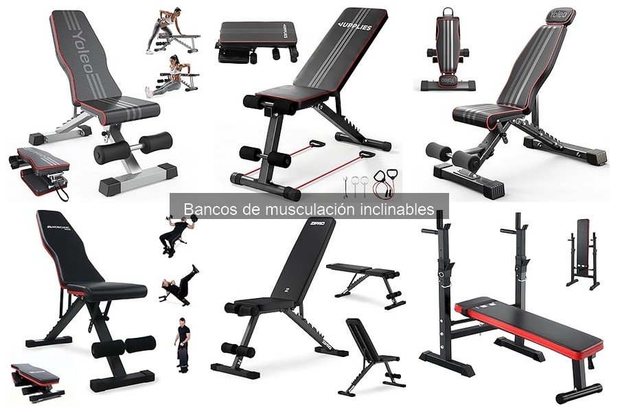 Mejores bancos de musculación inclinables para principiantes