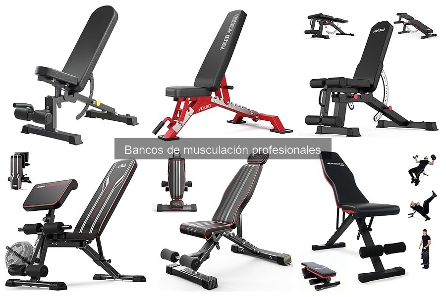 Mejores bancos de musculación profesionales 2023: comparativa