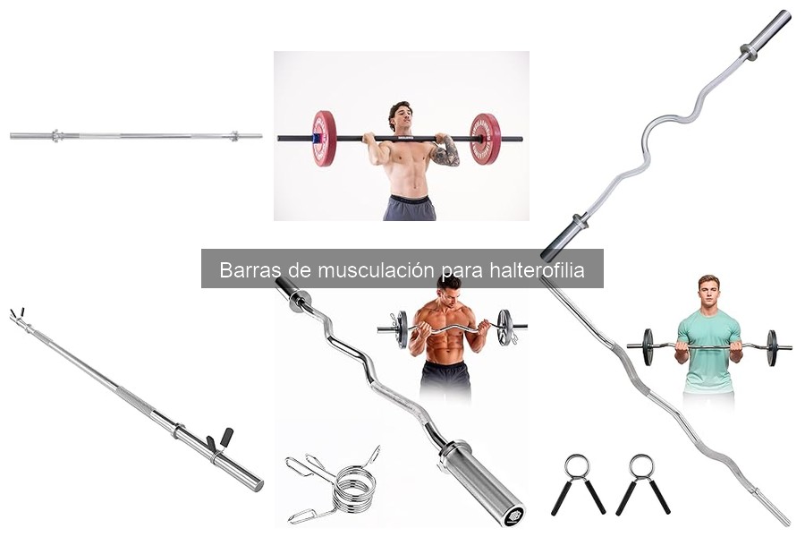 Mejores barras de musculación para principiantes en halterofilia