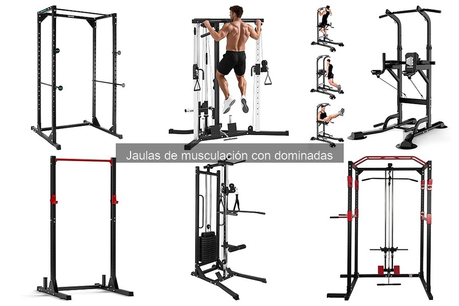 Mejores jaulas de musculación con dominadas para principiantes