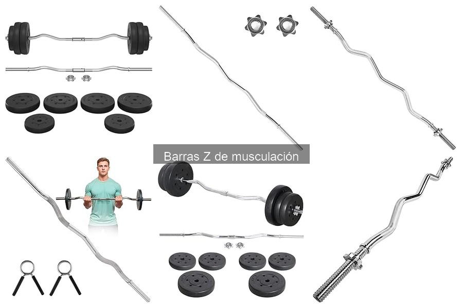 Mejores lugares para comprar barras Z de musculación